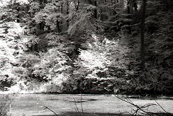 {short description of image}